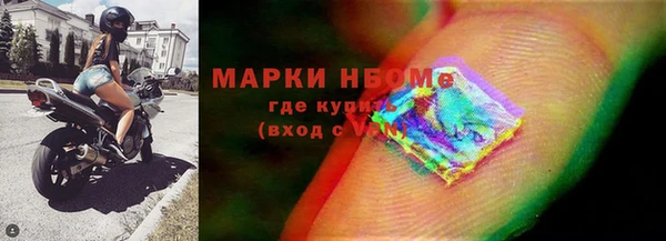 хмурый Алексин