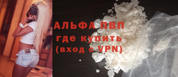 хмурый Алексин