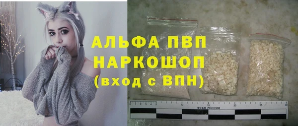 хмурый Алзамай