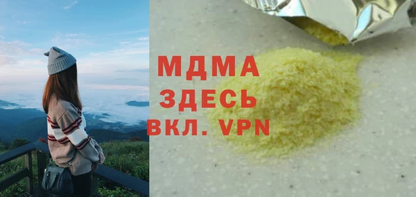 хмурый Алексин