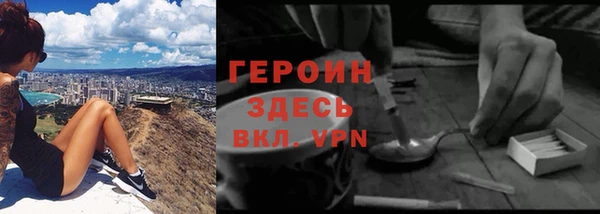 хмурый Алексин
