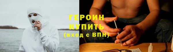хмурый Алексин