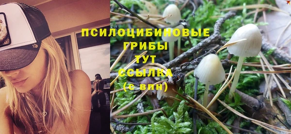 хмурый Алзамай