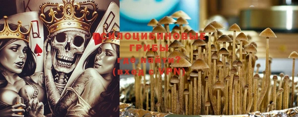 хмурый Алексин