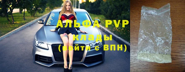 хмурый Алексин