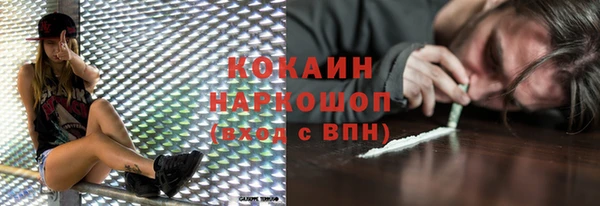 хмурый Алзамай