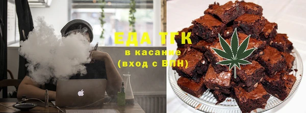 хмурый Алексин