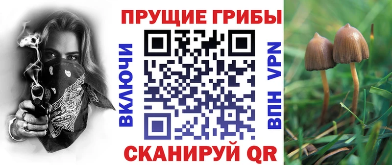 MEGA ONION  Нюрба  Галлюциногенные грибы мицелий  где можно купить наркотик 